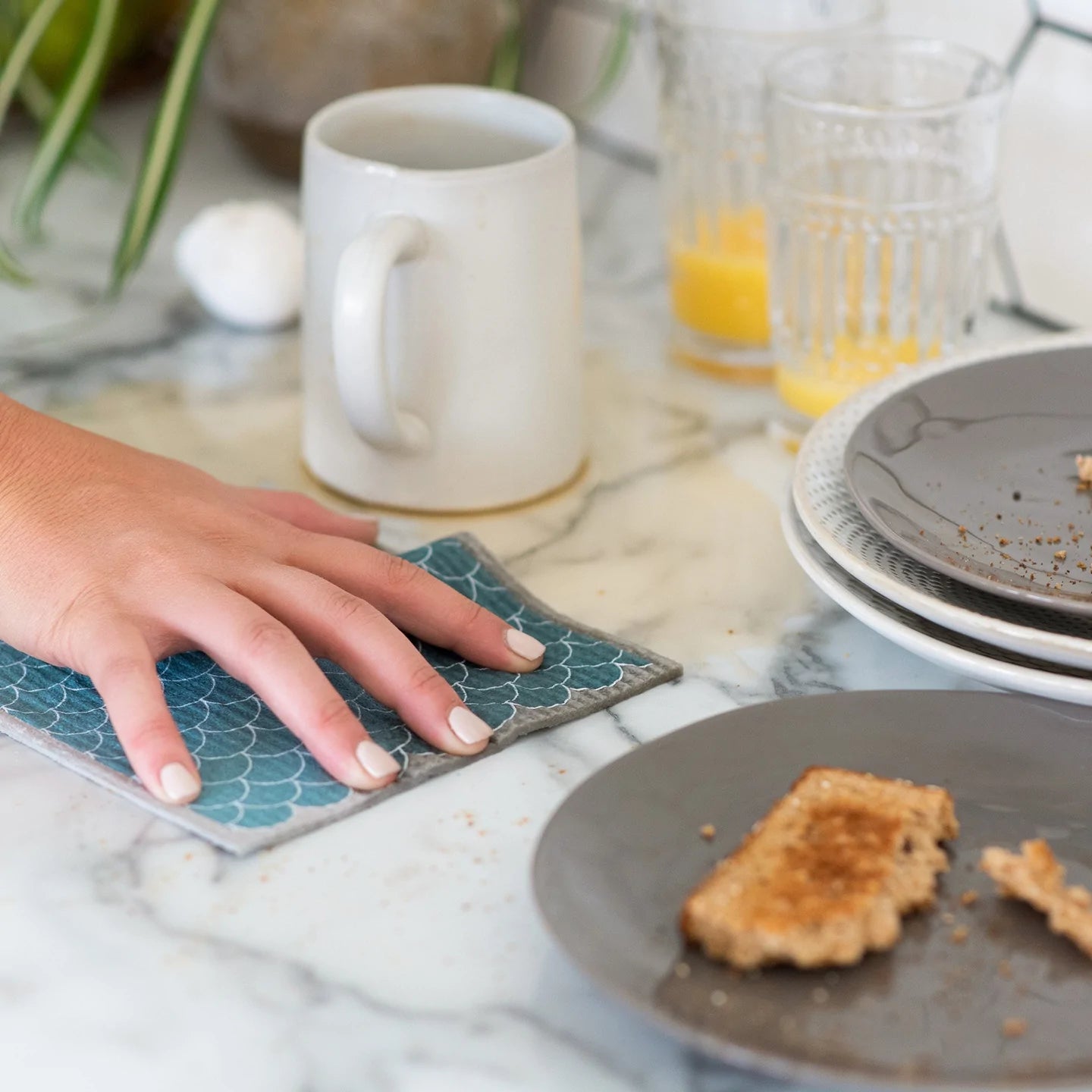 Reusable Dish Cloth